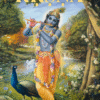 krishna book